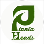 Planta Heads Logo-150x150